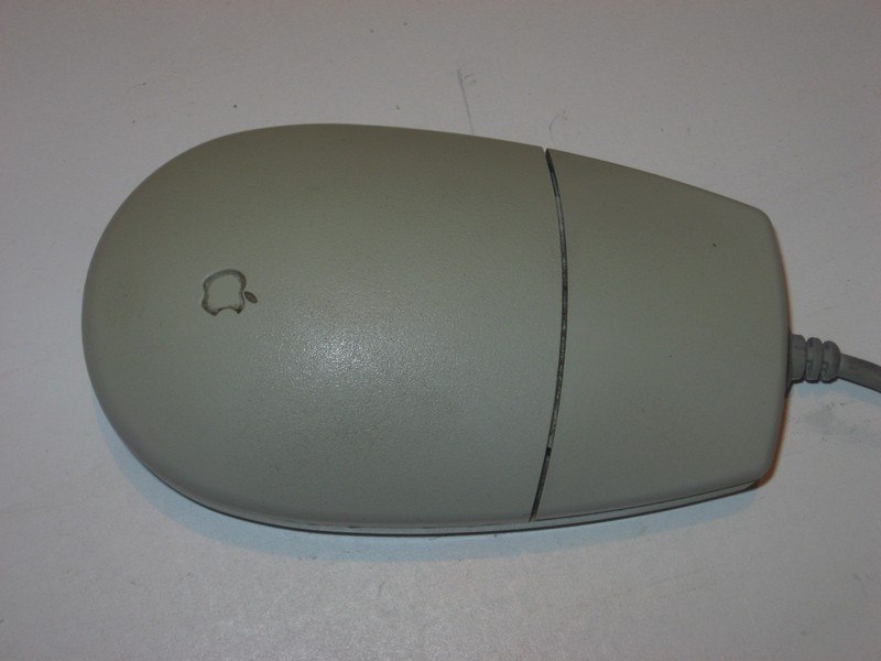 mys_kul_1tl_(apple)_apple_oval_pred.jpg, 64 kB